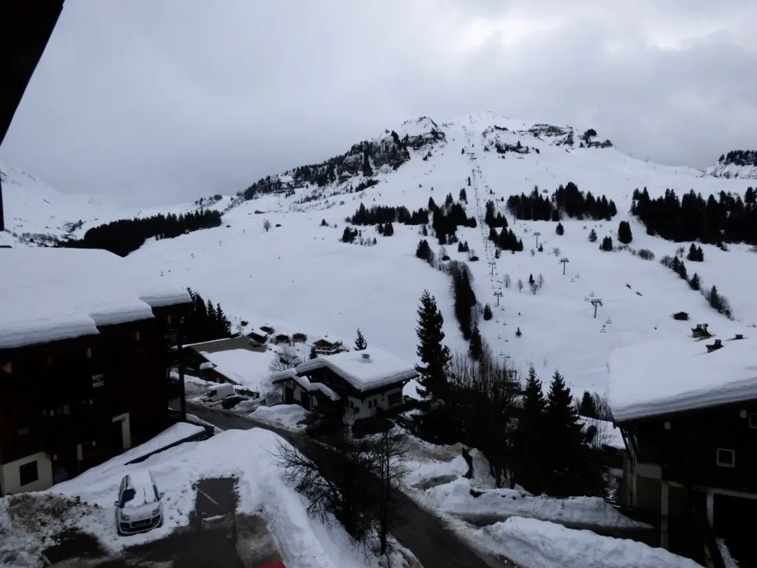 Location de Vacances Le Grand-Bornand 399