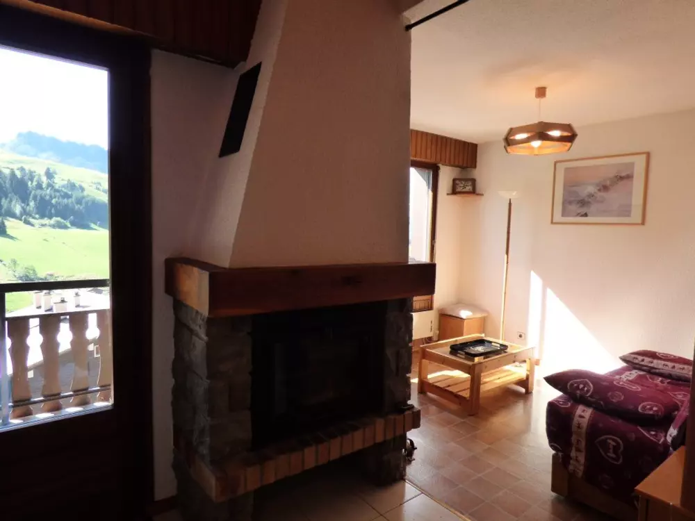Location de Vacances Le Grand-Bornand 399