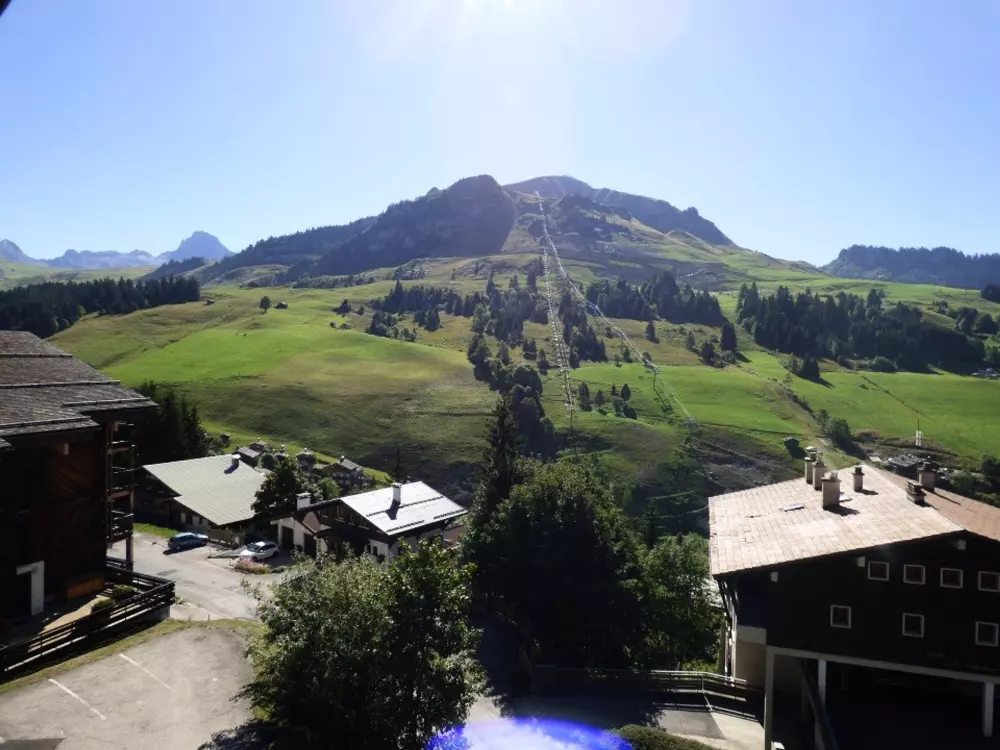 Location de Vacances Le Grand-Bornand 399