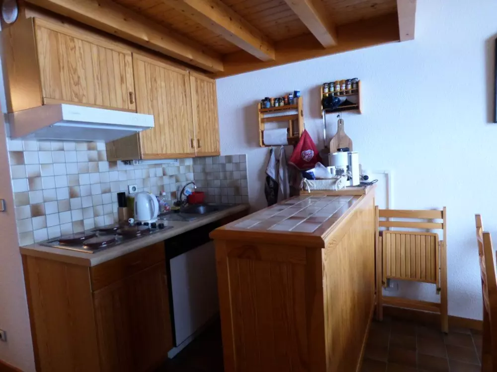 Location de Vacances Le Grand-Bornand 399