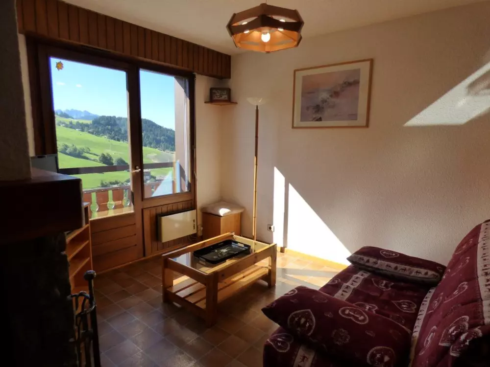 Location de Vacances Le Grand-Bornand 399