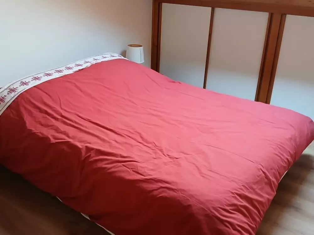 Location de Vacances Le Grand-Bornand 399