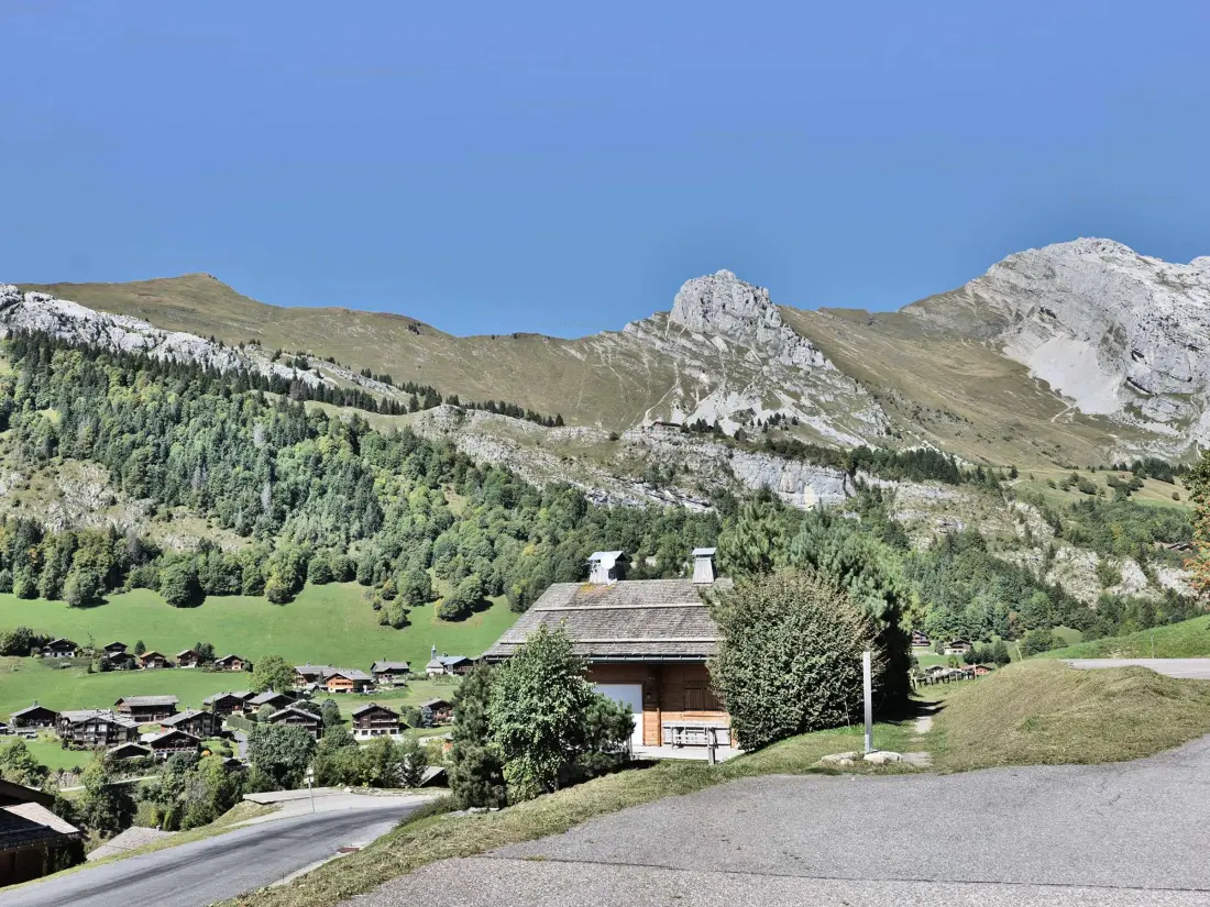 Location de Vacances Le Grand-Bornand 403