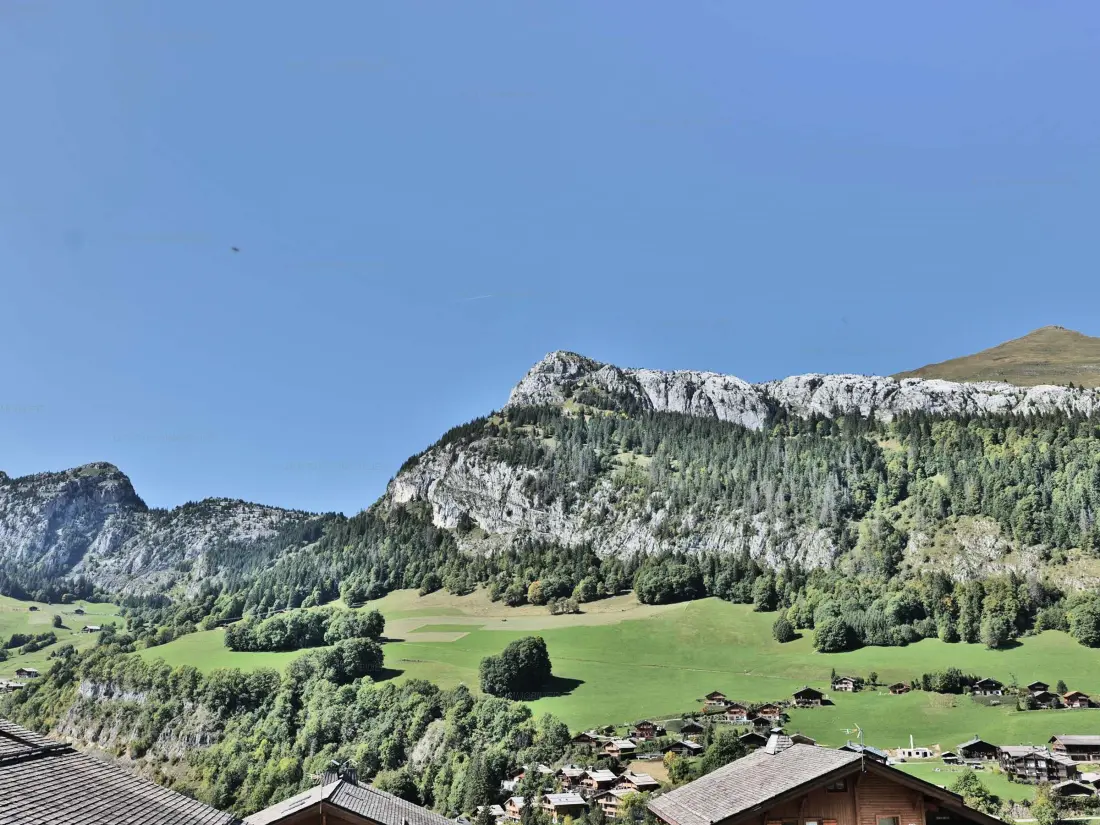Location de Vacances Le Grand-Bornand 403
