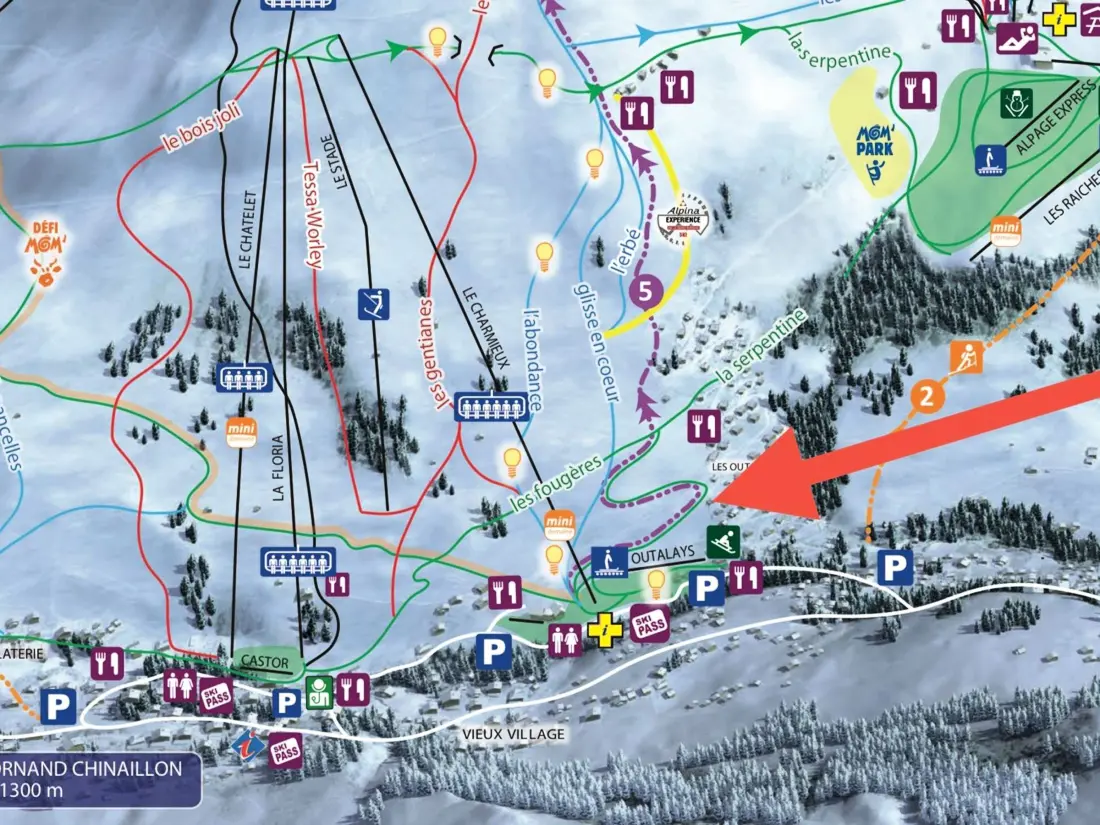 Location de Vacances Le Grand-Bornand 403