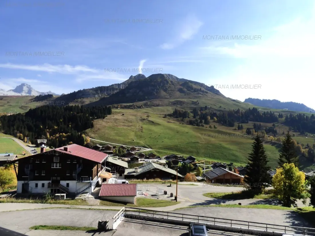 Location de Vacances Le Grand-Bornand 406