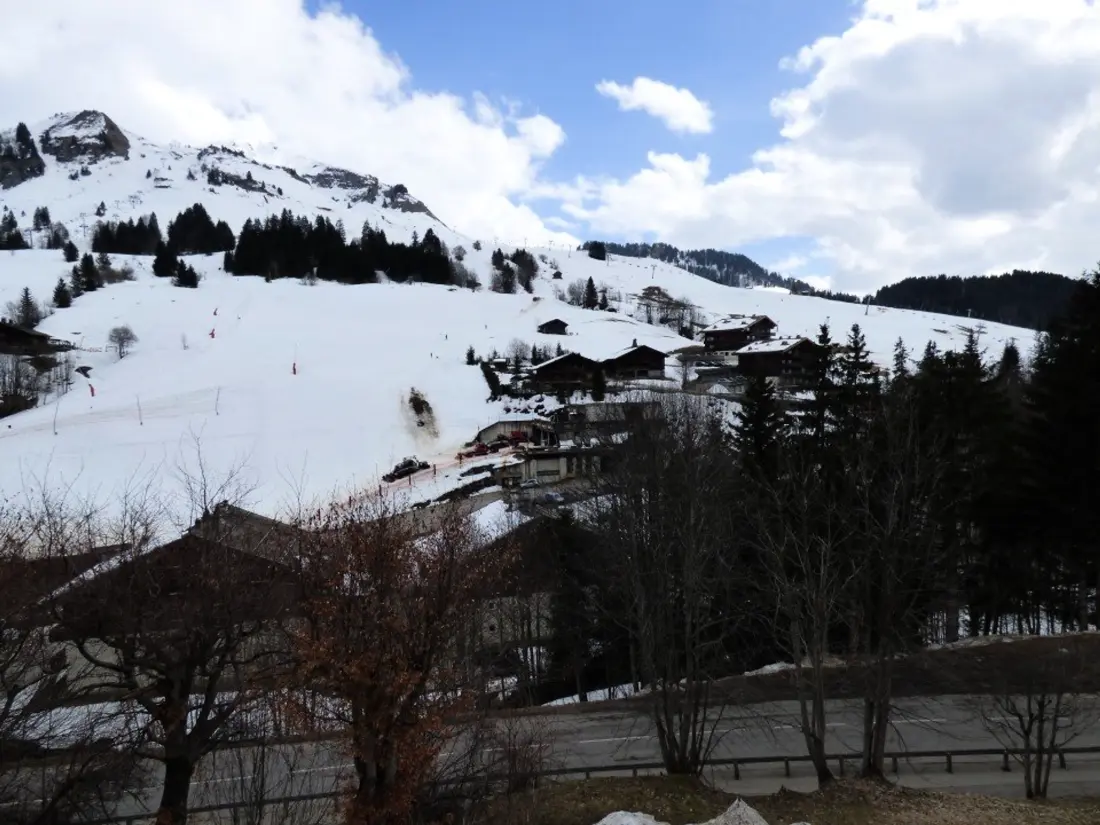 Location de Vacances Le Grand-Bornand 408