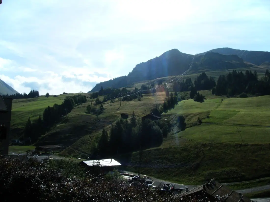 Location de Vacances Le Grand-Bornand 408