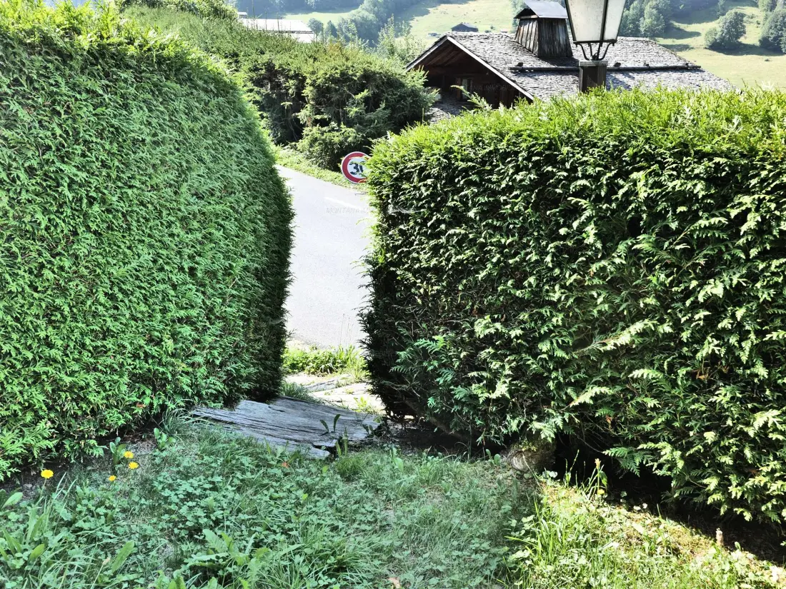 Location de Vacances Le Grand-Bornand 411