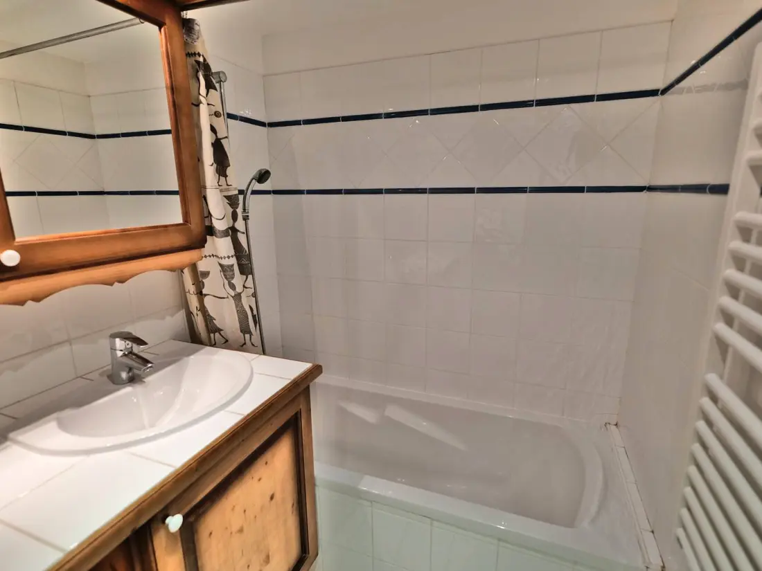 Location de Vacances Le Grand-Bornand 418