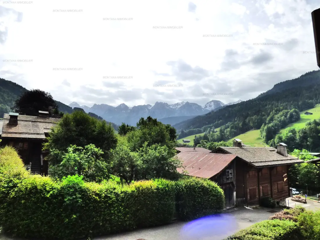 Location de Vacances Le Grand-Bornand 420
