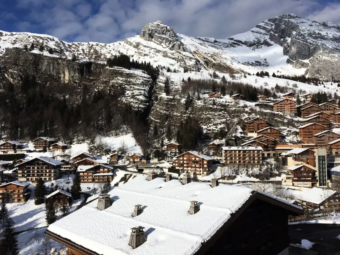 Location de Vacances Le Grand-Bornand 421
