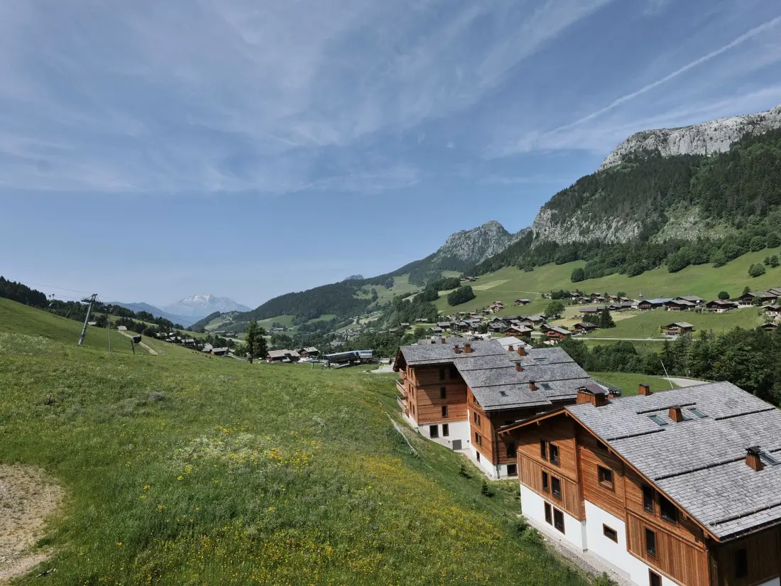 Location de Vacances Le Grand-Bornand 421