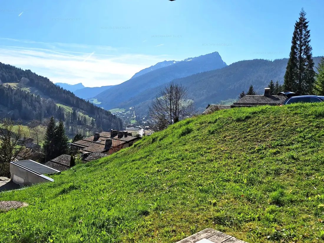 Location de Vacances Le Grand-Bornand 422