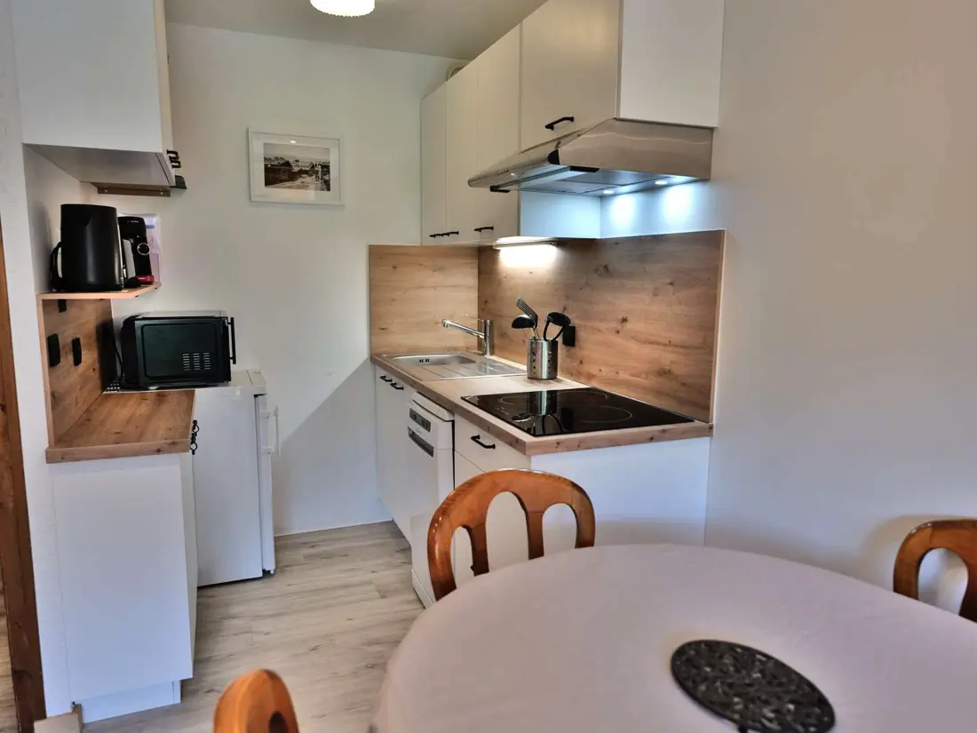 Location de Vacances Le Grand-Bornand 423