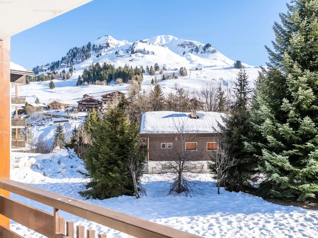 Location de Vacances Le Grand-Bornand 426