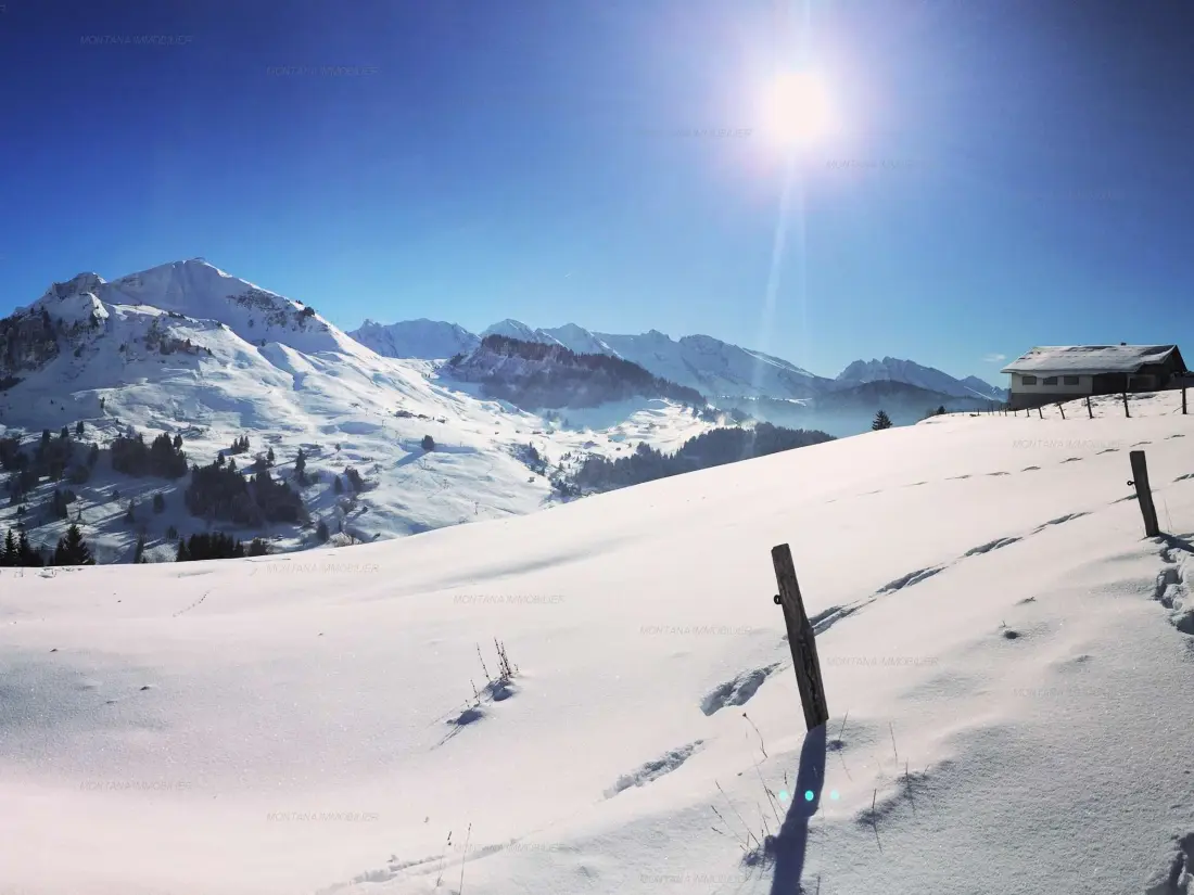 Location de Vacances Le Grand-Bornand 429