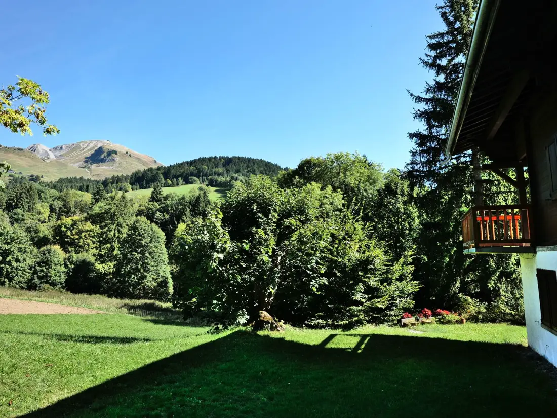 Location de Vacances Le Grand-Bornand 433