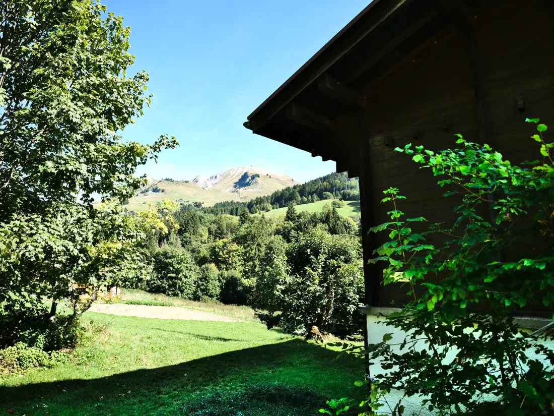Location de Vacances Le Grand-Bornand 433