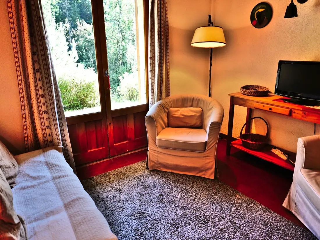 Location de Vacances Le Grand-Bornand 433
