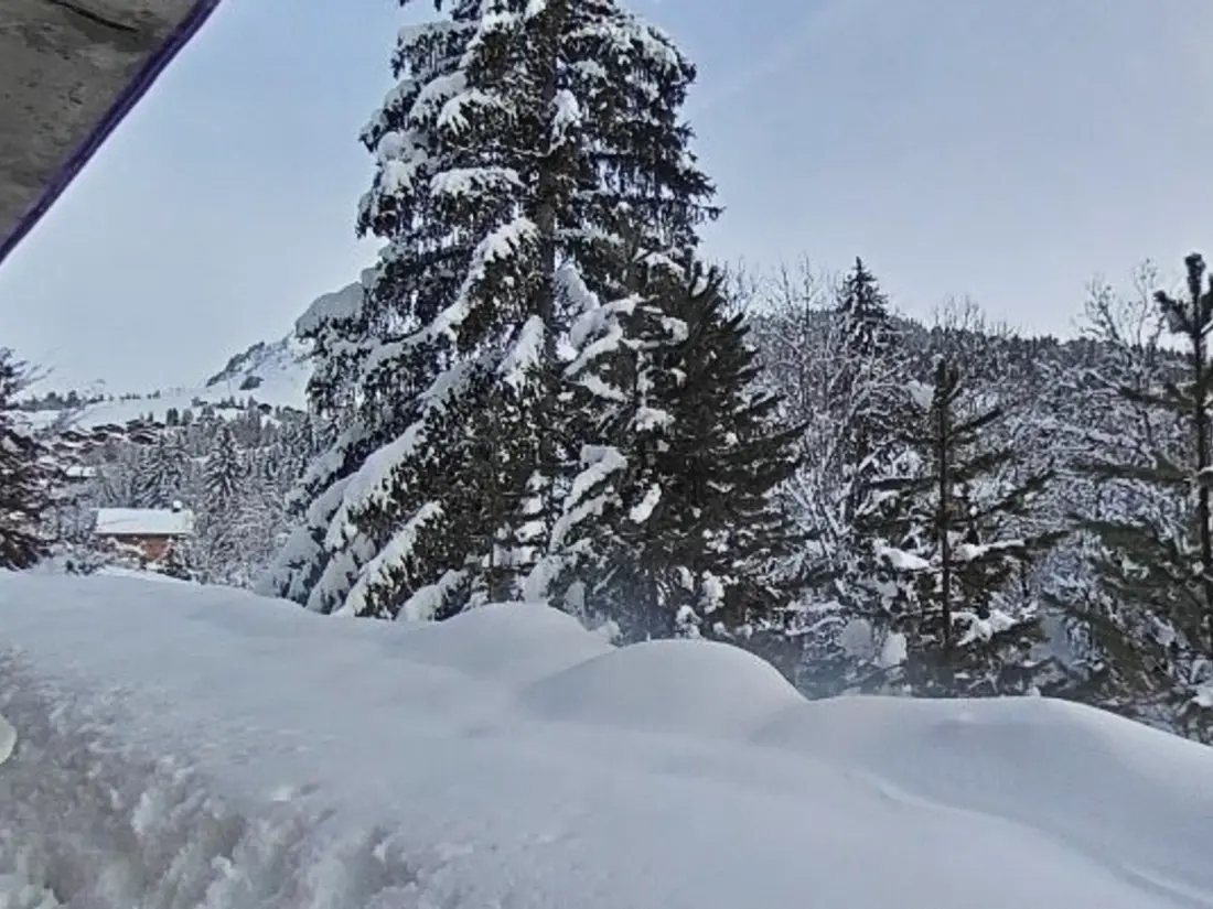 Location de Vacances Le Grand-Bornand 433