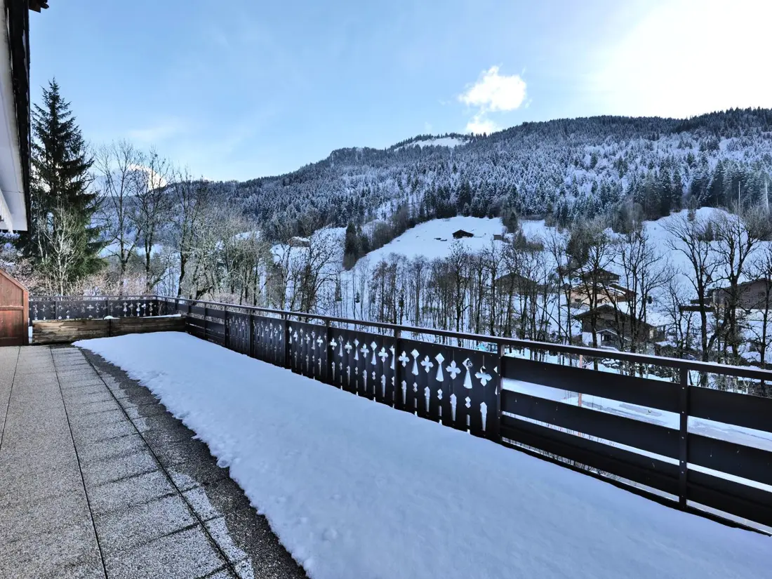 Location de Vacances Le Grand-Bornand 434