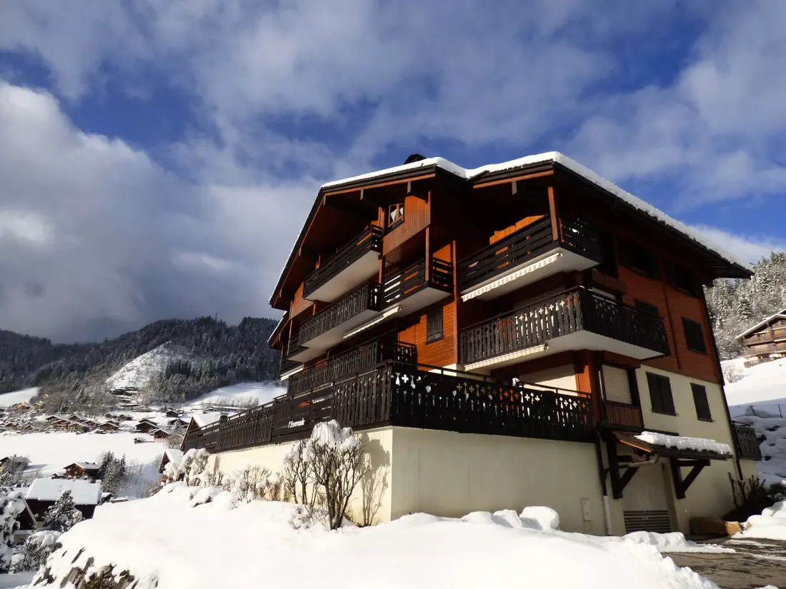 Location de Vacances Le Grand-Bornand 434