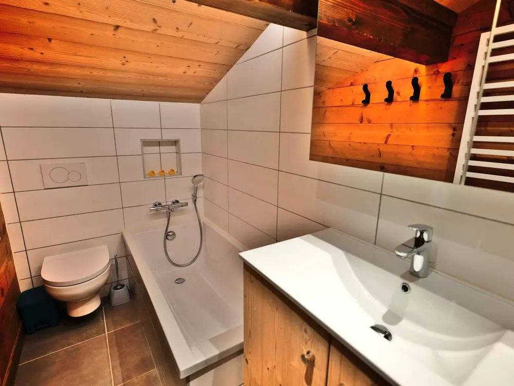 Location de Vacances Le Grand-Bornand 435