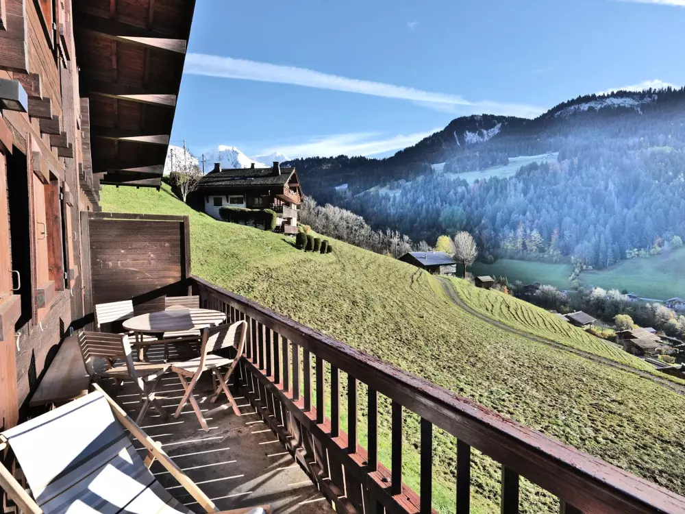 Location de Vacances Le Grand-Bornand 435