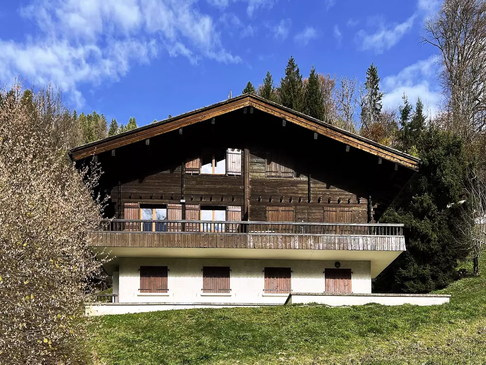 Location de Vacances Le Grand-Bornand 435