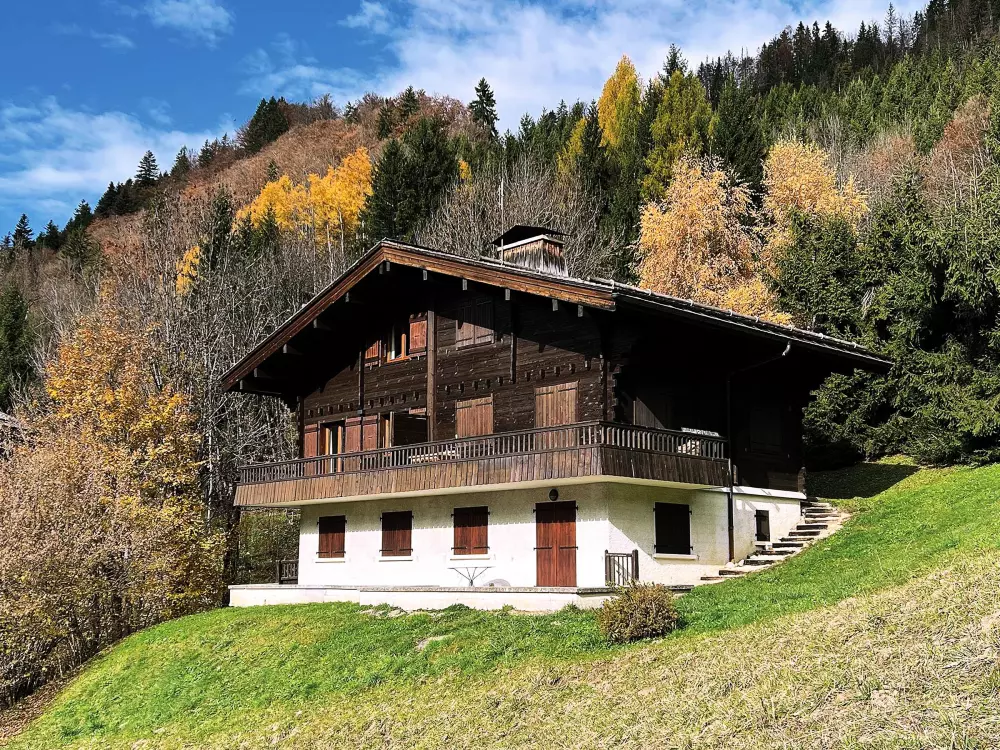 Location de Vacances Le Grand-Bornand 435