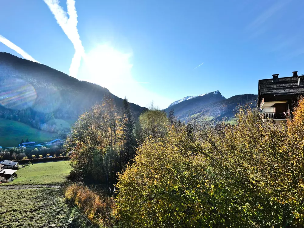 Location de Vacances Le Grand-Bornand 435