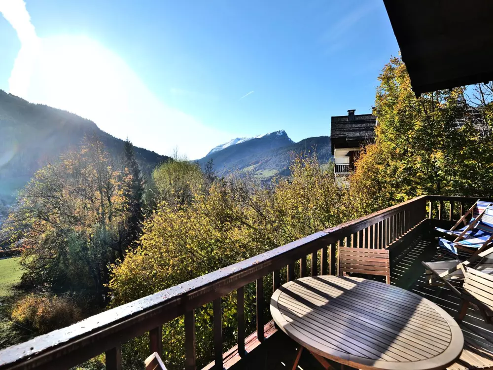 Location de Vacances Le Grand-Bornand 435