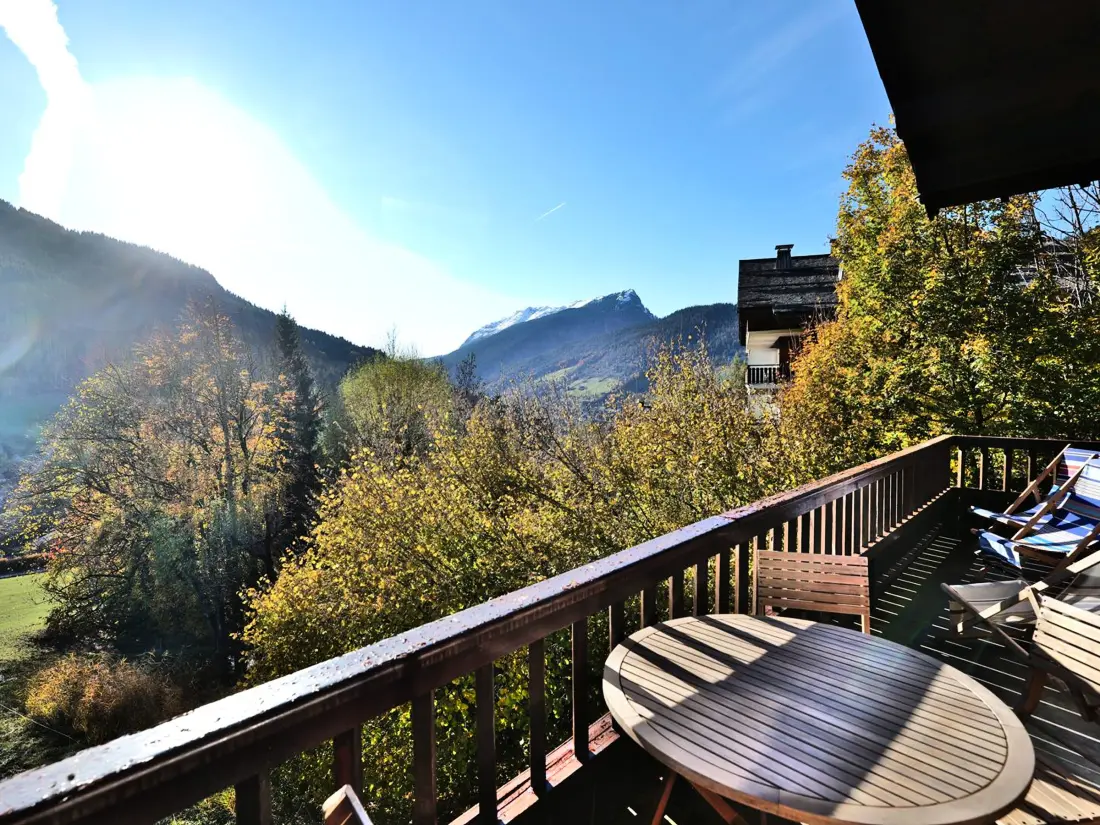Location de Vacances Le Grand-Bornand 435