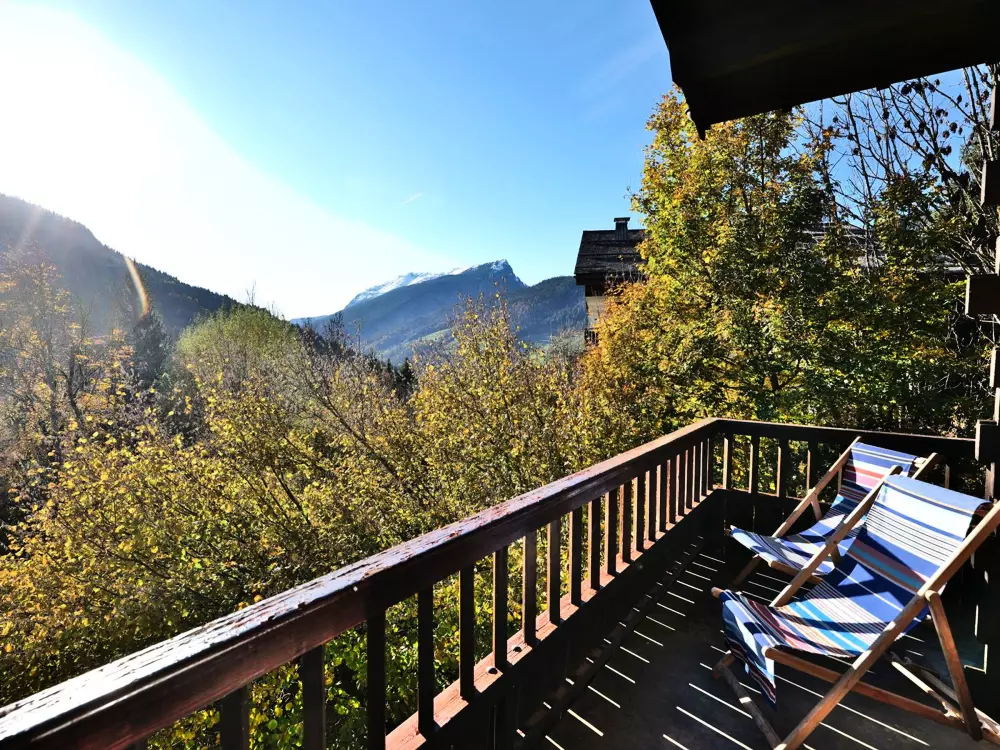 Location de Vacances Le Grand-Bornand 435