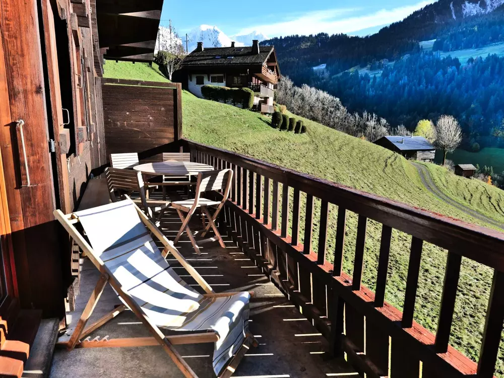 Location de Vacances Le Grand-Bornand 435