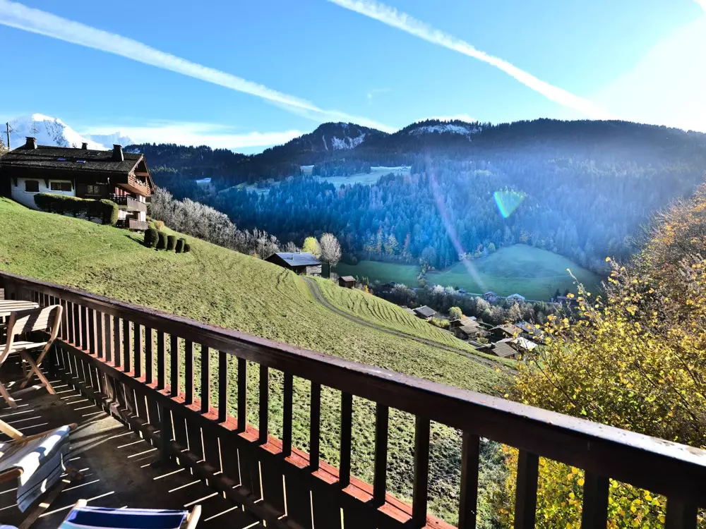 Location de Vacances Le Grand-Bornand 435