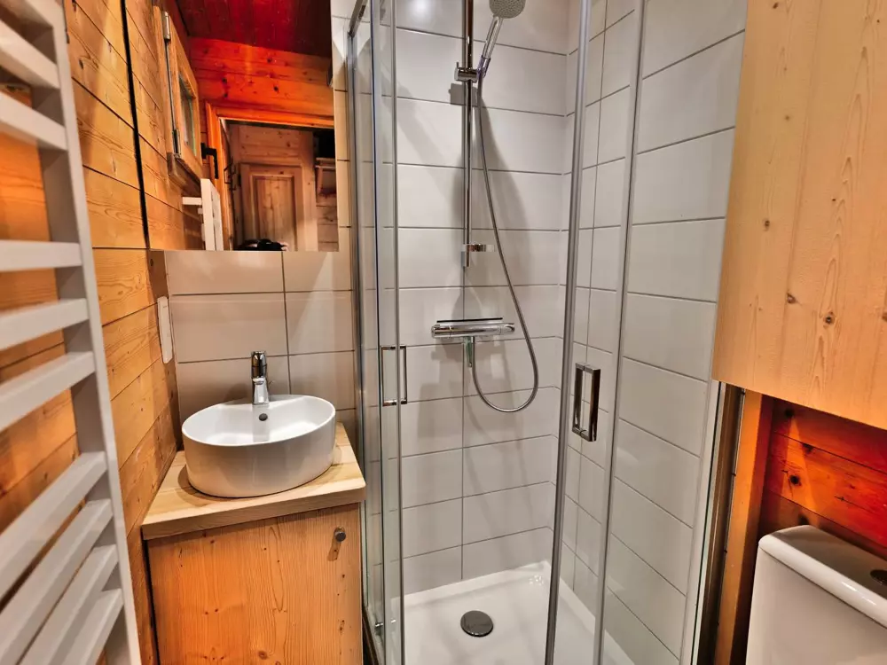 Location de Vacances Le Grand-Bornand 435