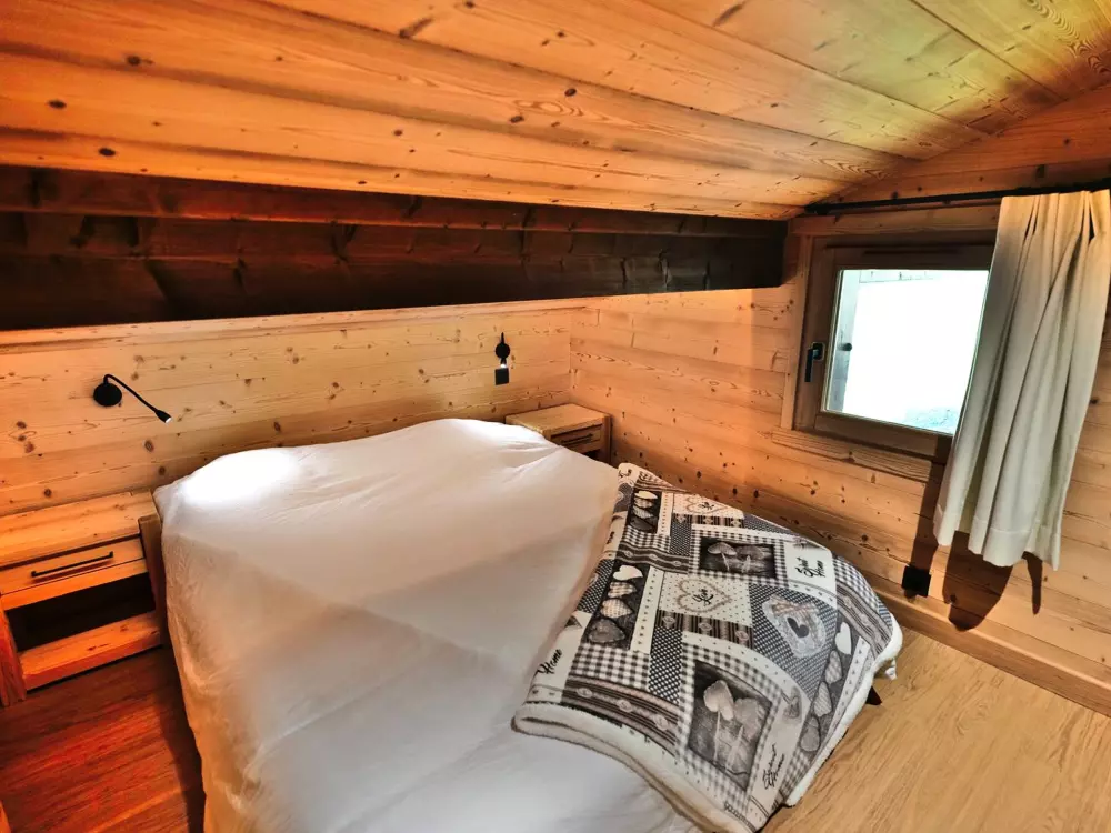 Location de Vacances Le Grand-Bornand 435