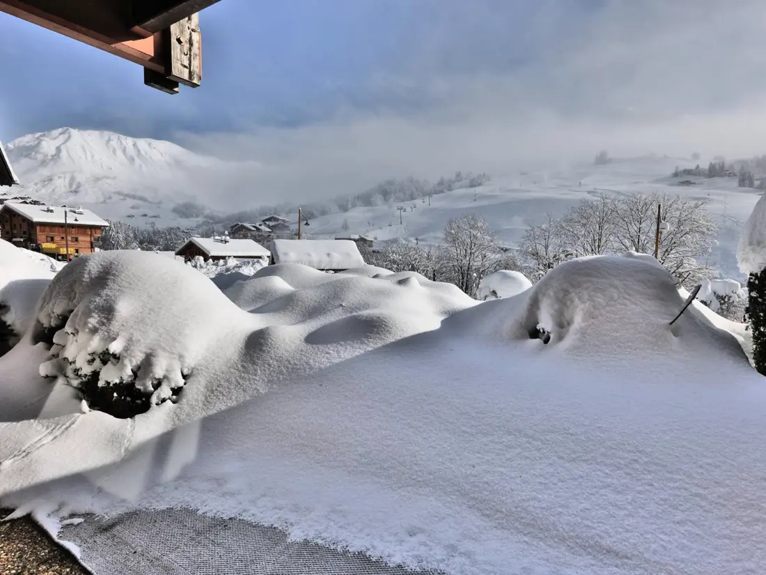 Location de Vacances Le Grand-Bornand 436