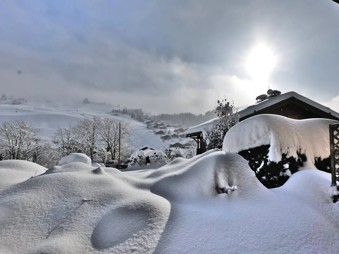 Location de Vacances Le Grand-Bornand 436