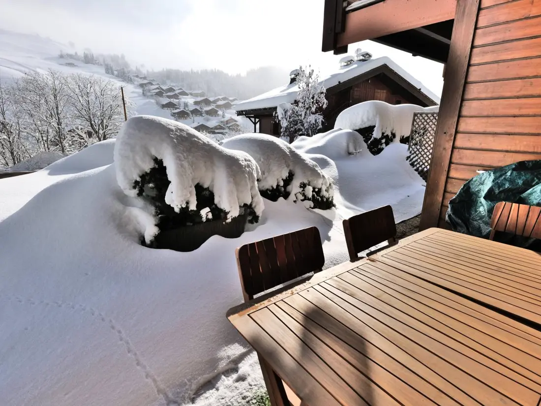 Location de Vacances Le Grand-Bornand 436