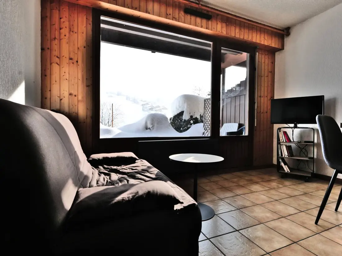 Location de Vacances Le Grand-Bornand 436
