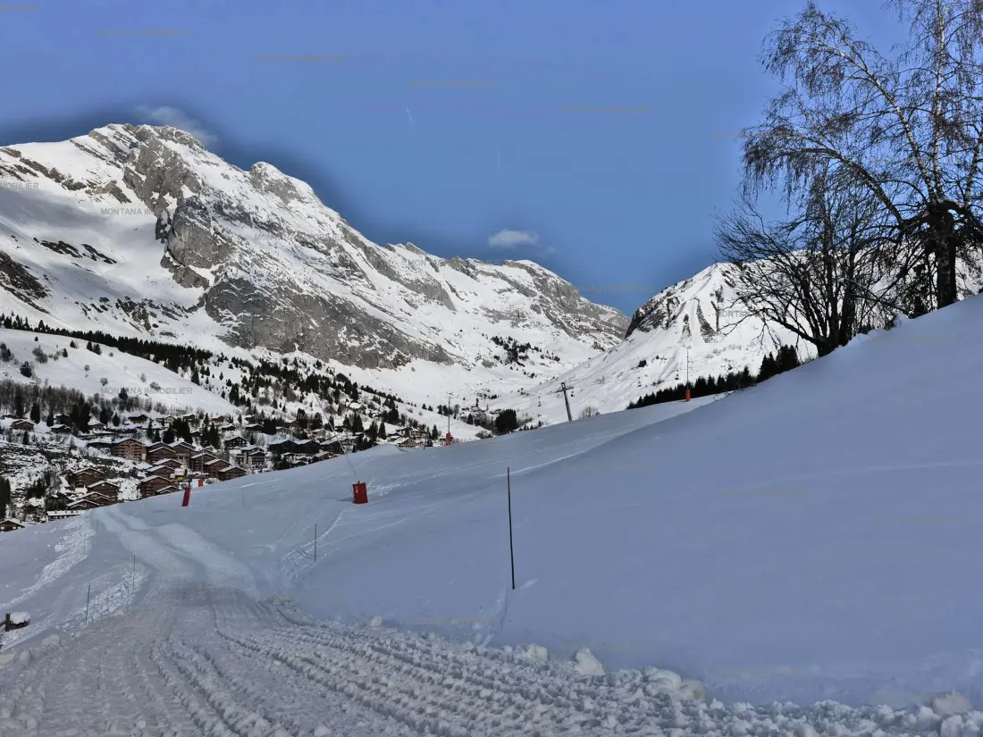 Maison de Vacances Le Grand-Bornand 437
