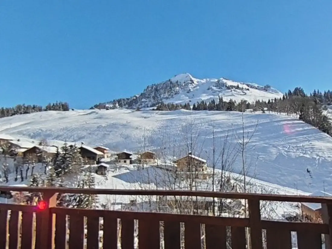 Location de Vacances Le Grand-Bornand 438