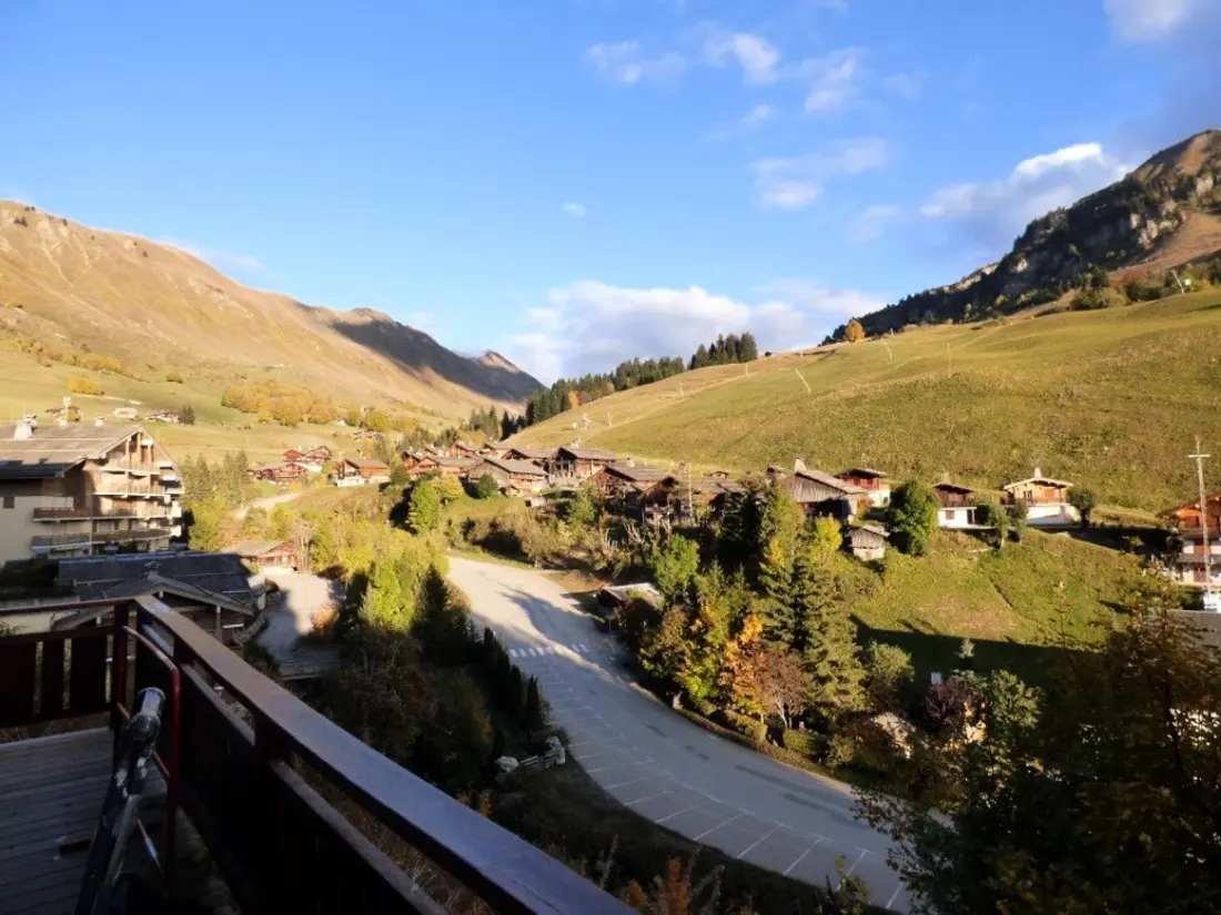 Location de Vacances Le Grand-Bornand 438
