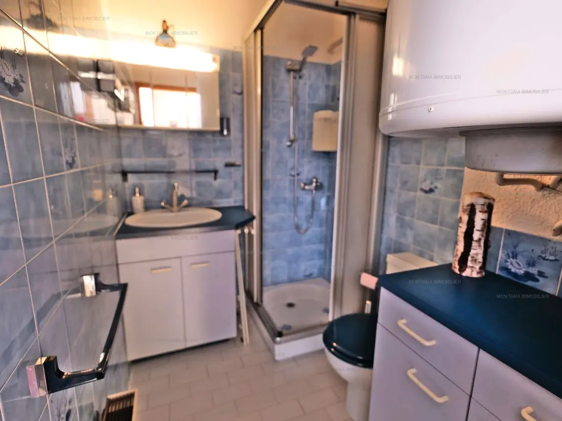 Location de Vacances Le Grand-Bornand 440