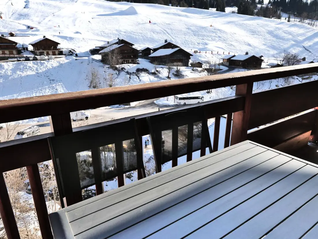 Location de Vacances Le Grand-Bornand 441