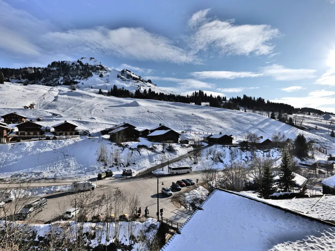 Location de Vacances Le Grand-Bornand 441