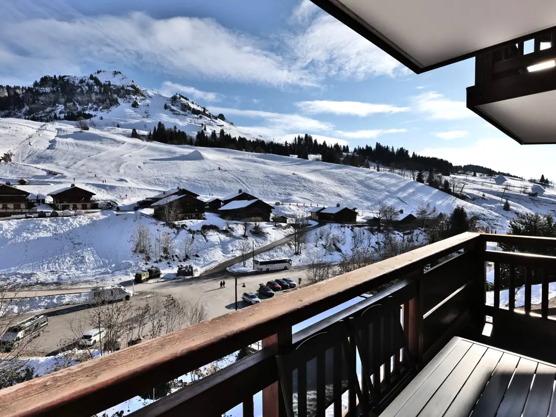 Location de Vacances Le Grand-Bornand 441